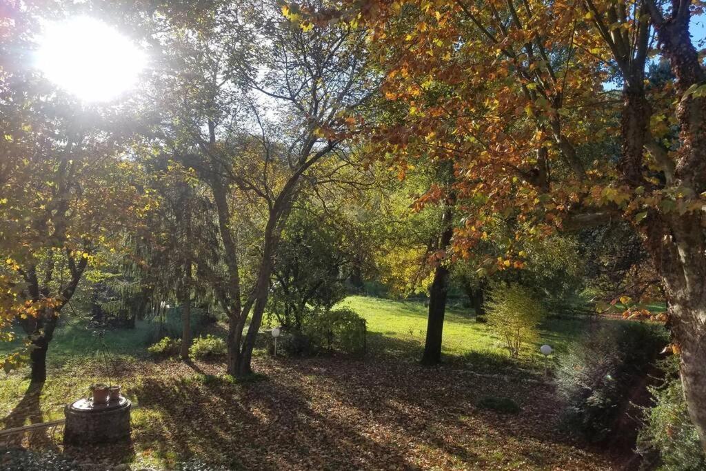 De La Lurette - Agreable T2 Independant Dans Cadre Calme Et Verdoyant * Cazilhac (Herault)