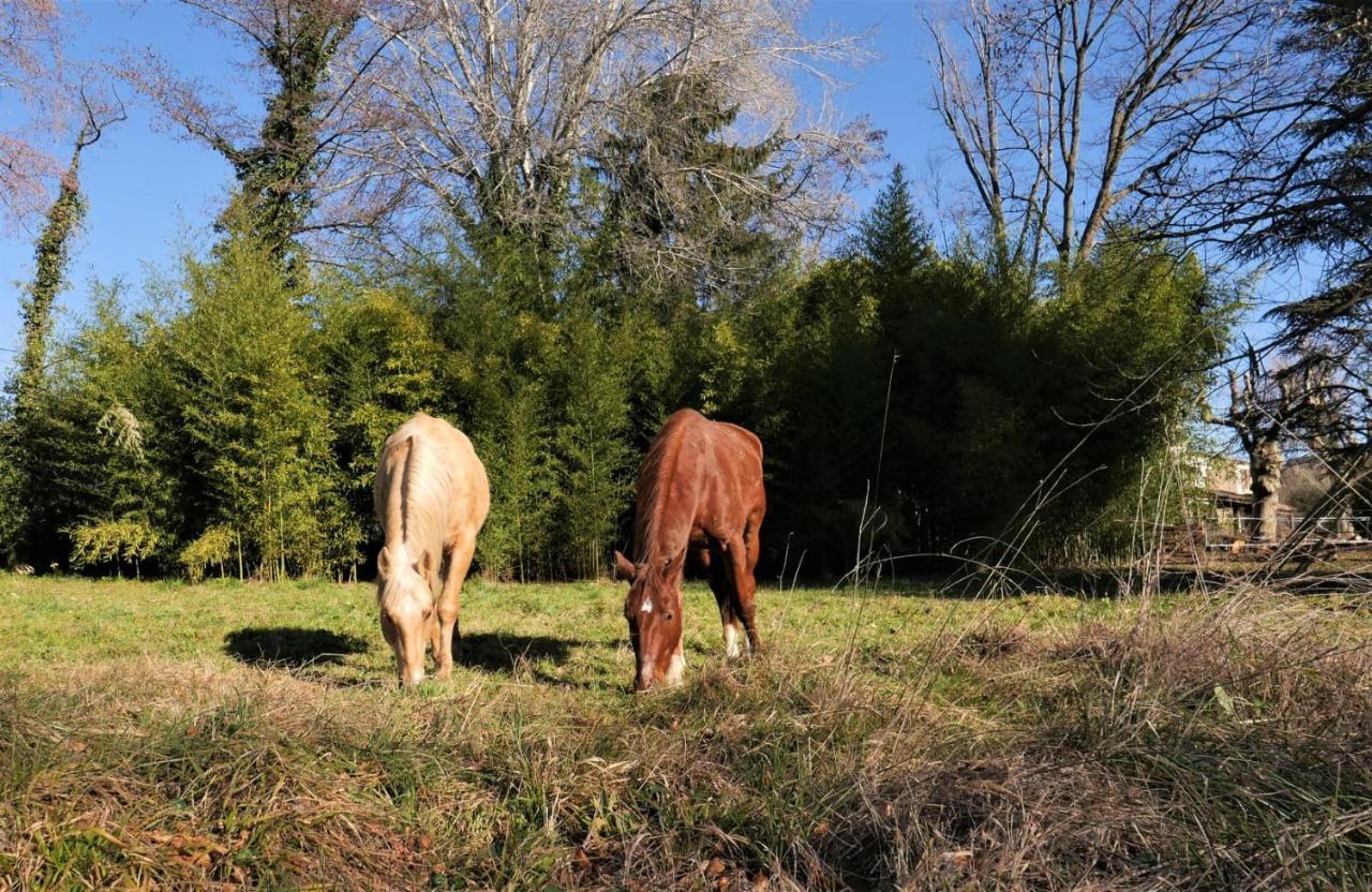 De La Lurette - Agreable T2 Independant Dans Cadre Calme Et Verdoyant Cazilhac (Herault)